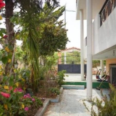 Appartamento George 'S Nest Agios Spyridon  Esterno foto